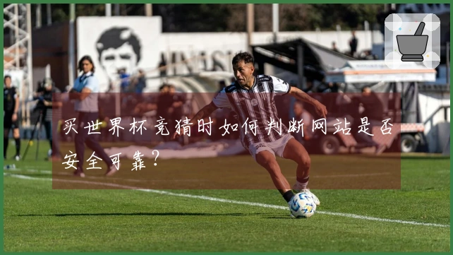 买世界杯竞猜时如何判断网站是否安全可靠？