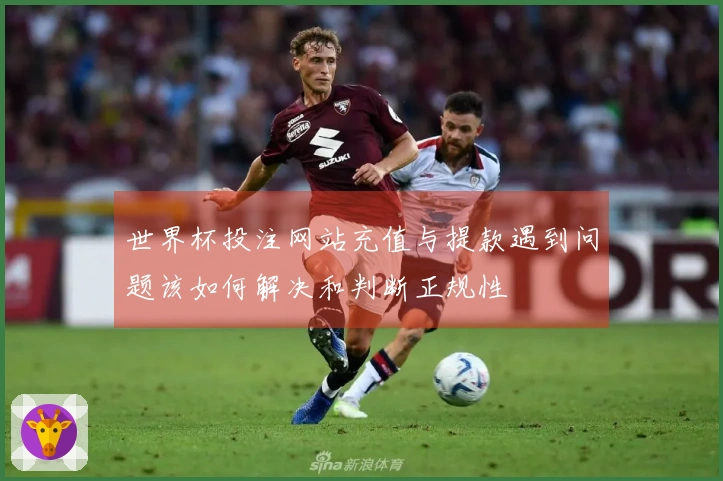 世界杯投注网站充值与提款遇到问题该如何解决和判断正规性