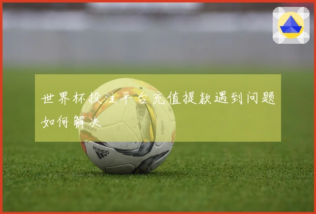 世界杯投注平台充值提款遇到问题如何解决